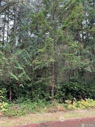 10508 Anchor Place - Photo 1