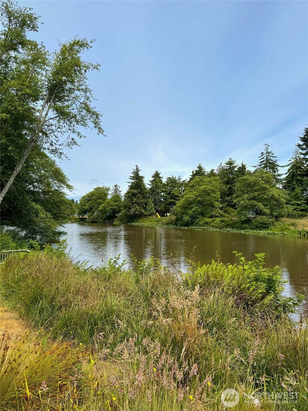 430 Dolphin Avenue - Photo 1