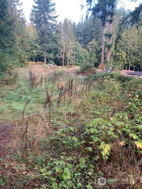 3539 278th Place - Photo 1