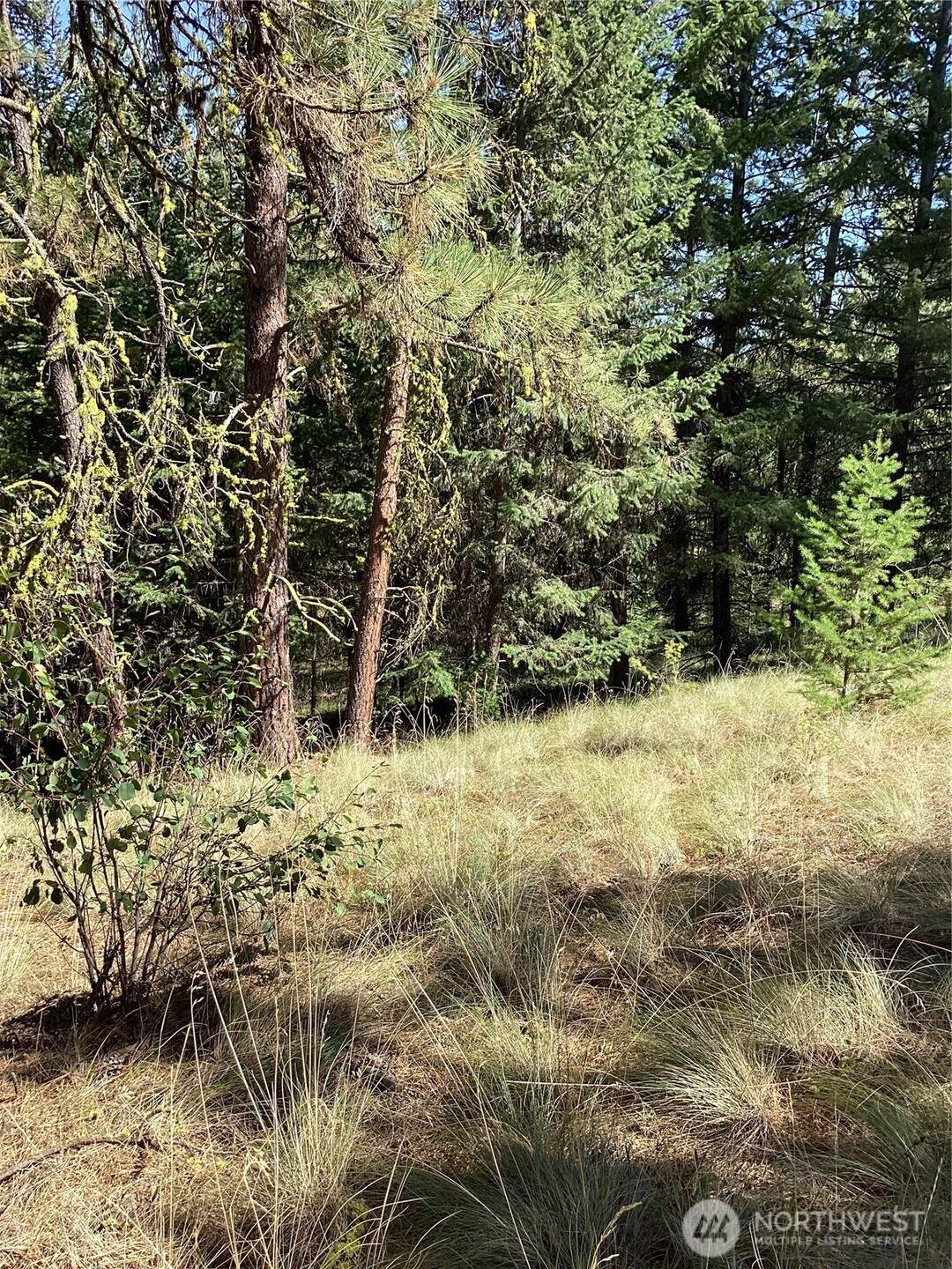 141 Lot Owl Road - Photo 1