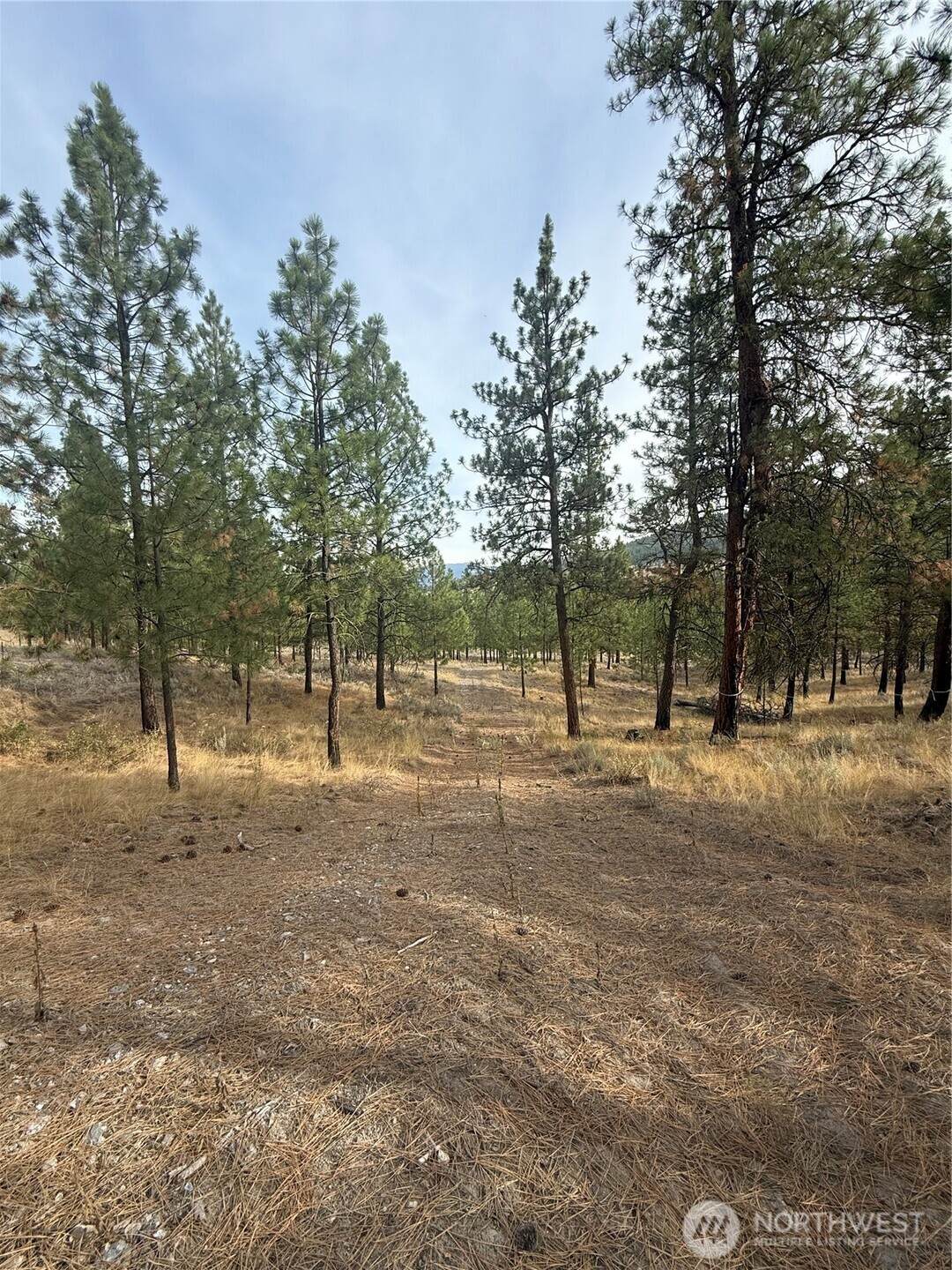 67 Bannon Creek Road - Photo 1