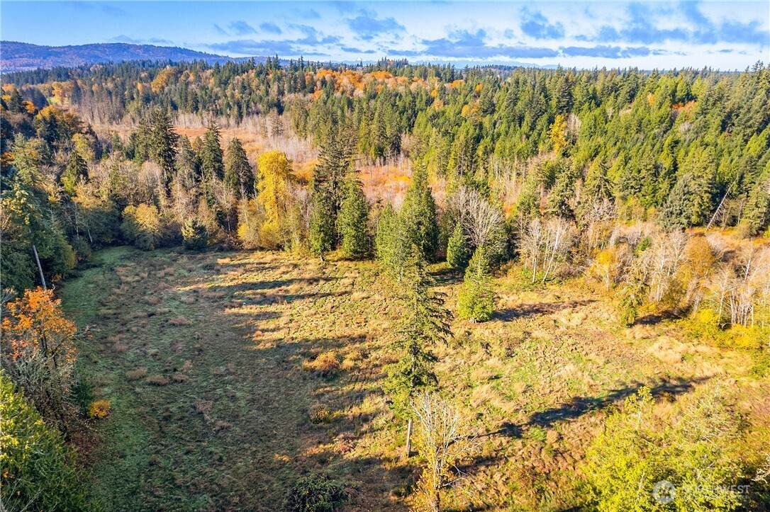 25520 Old Black Nugget Road - Photo 1