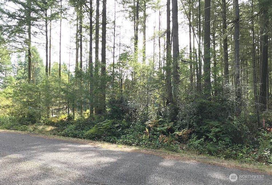 11507 Lake Josephine Avenue - Photo 1