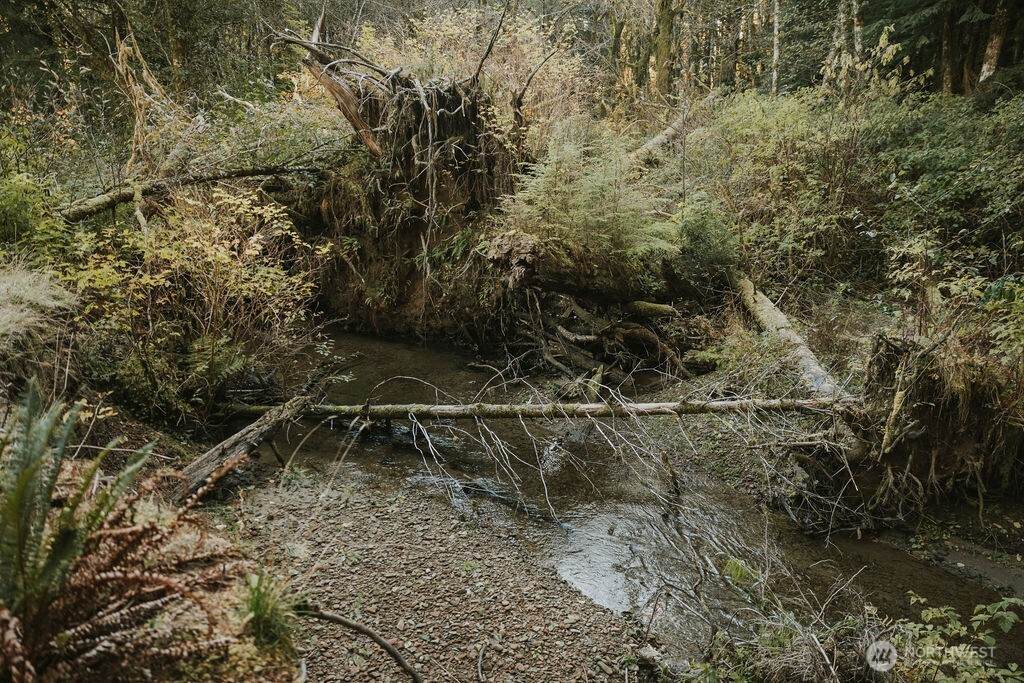 170 Sportsman Club Road - Photo 1