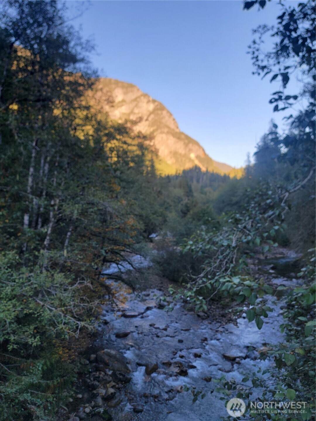 64006 110th Street - Photo 1