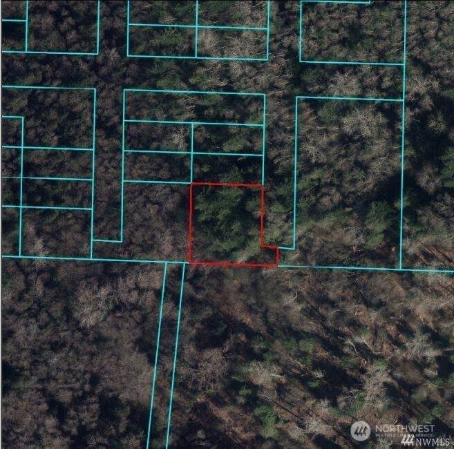 0 Pine Street - Photo 1