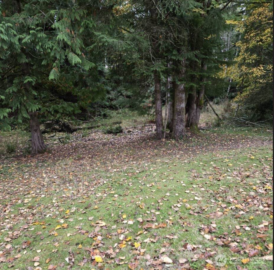 8 Huckleberry Court - Photo 1