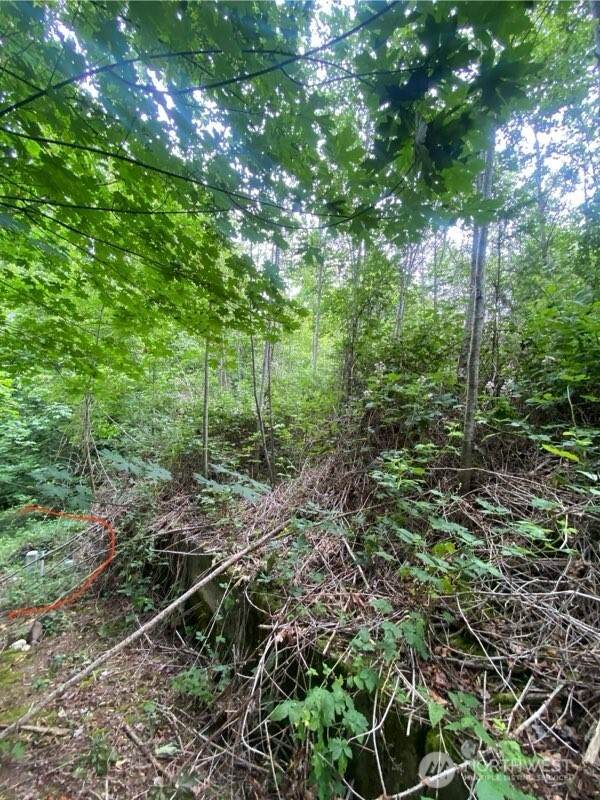 9 Nightingale Place - Photo 1