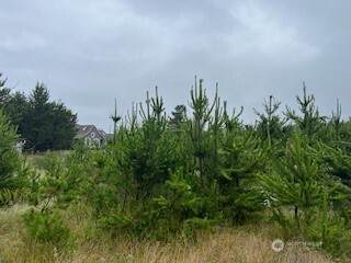 806 318th Place - Photo 1