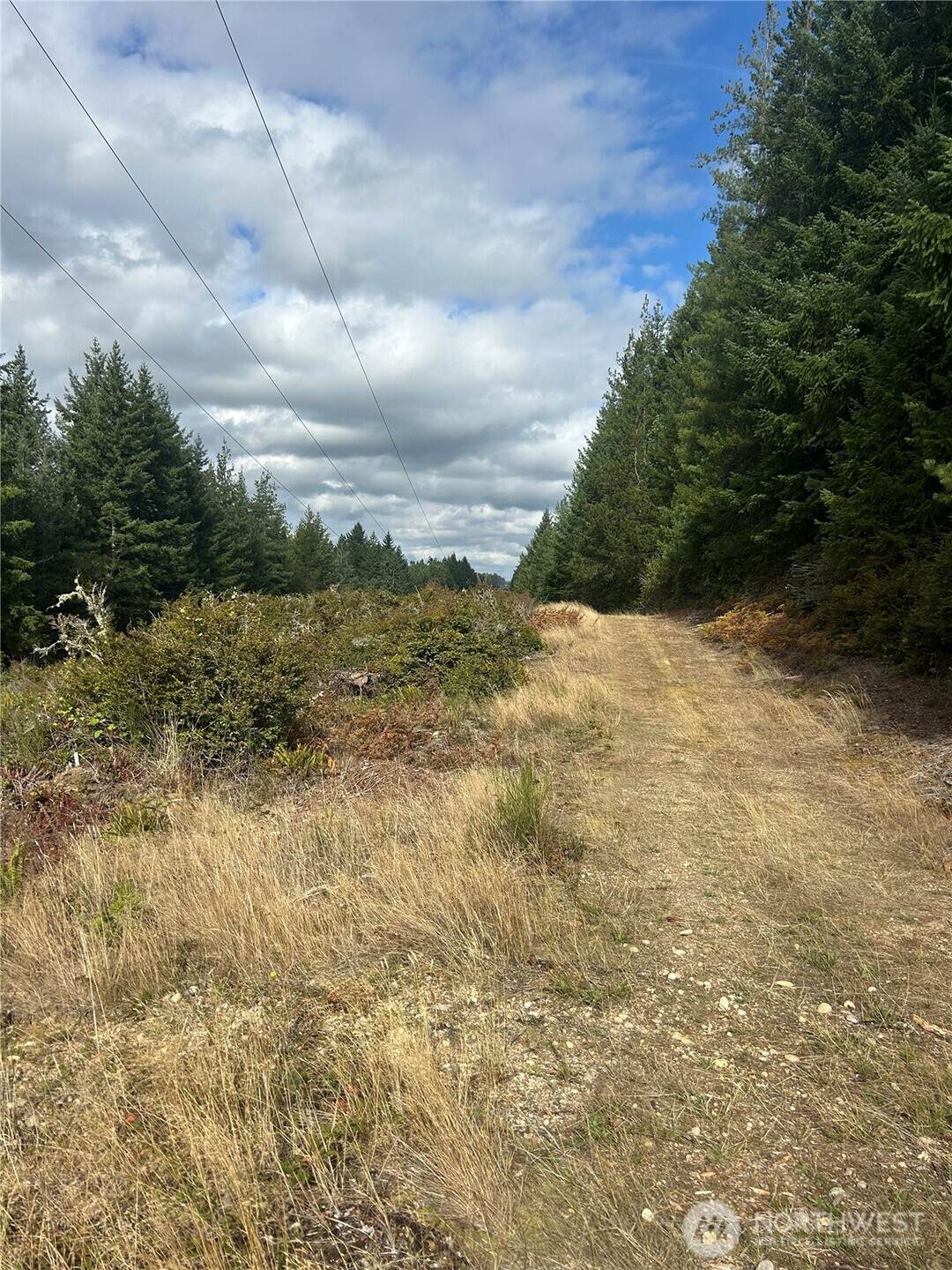 0 Marks Road - Photo 1