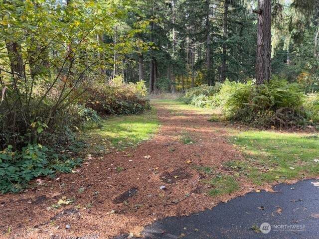 0 XX Jasmine Avenue - Photo 1