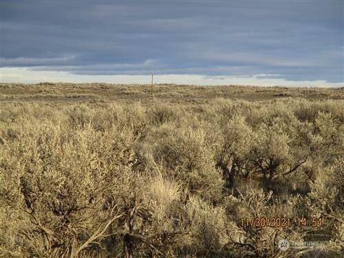 0 Lot 20 Quarter Horse Drive - Photo 1