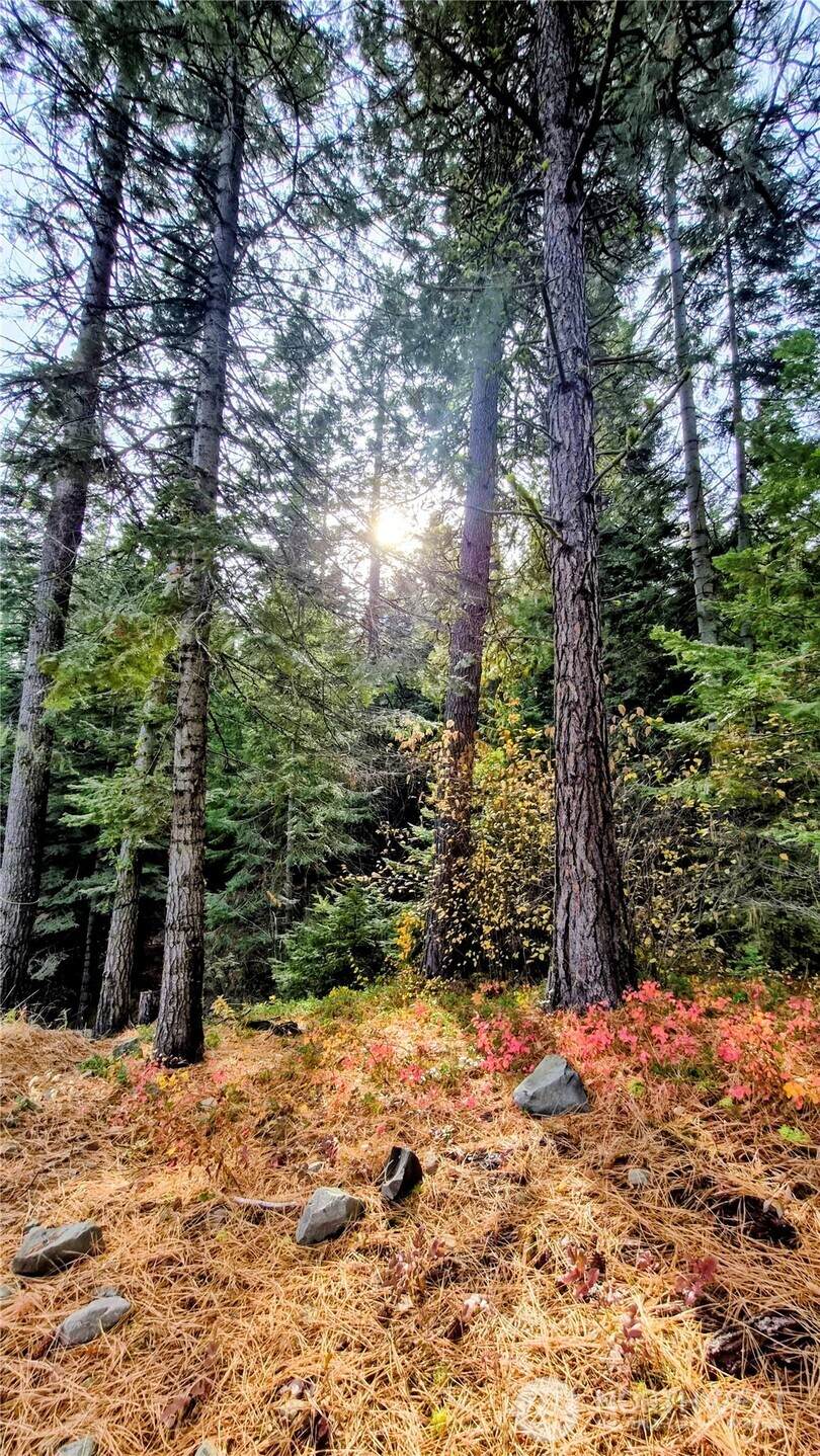 6299 Alder Ct - Photo 1