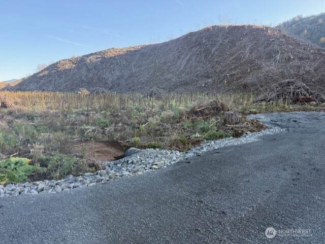0 Us Highway 12 - Photo 1