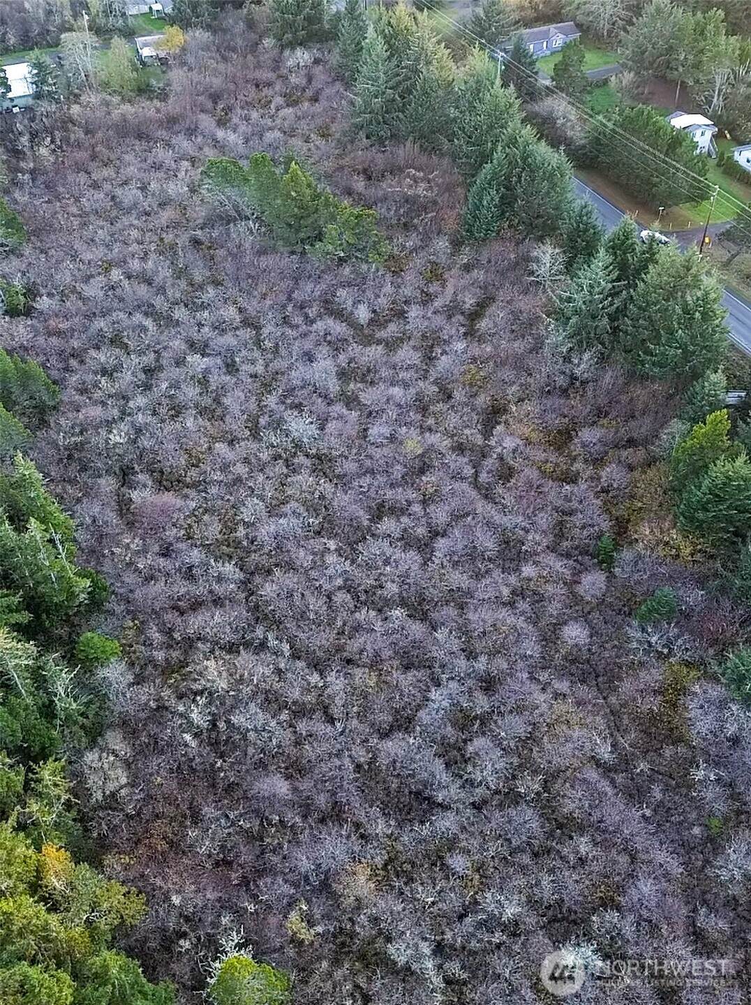 0 Pacific (Wa-103) Highway - Photo 1