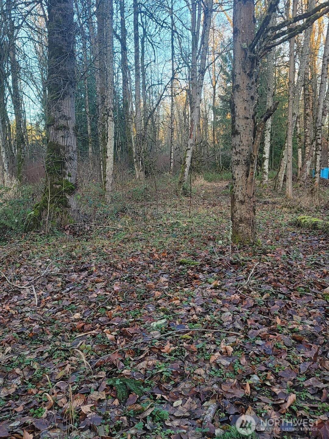 35750 Military Road - Photo 1