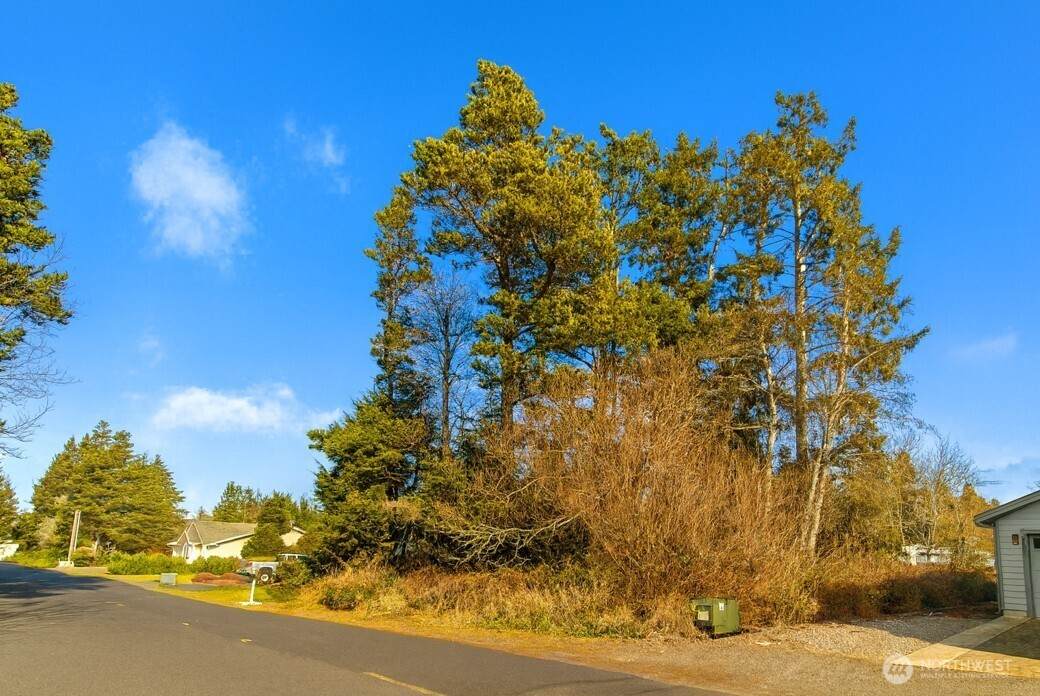 30904 M Place - Photo 1