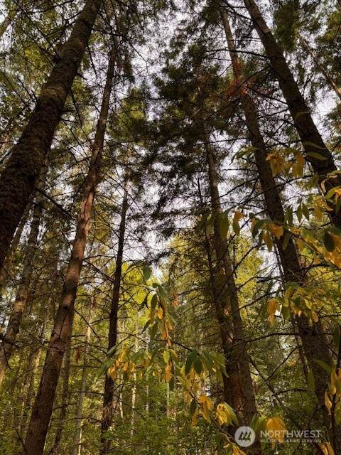0 Chuckawa Lane - Photo 1