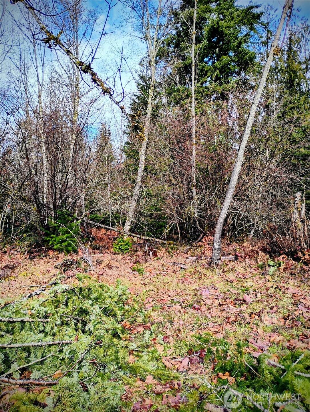 0 Holiday Lane - Photo 1
