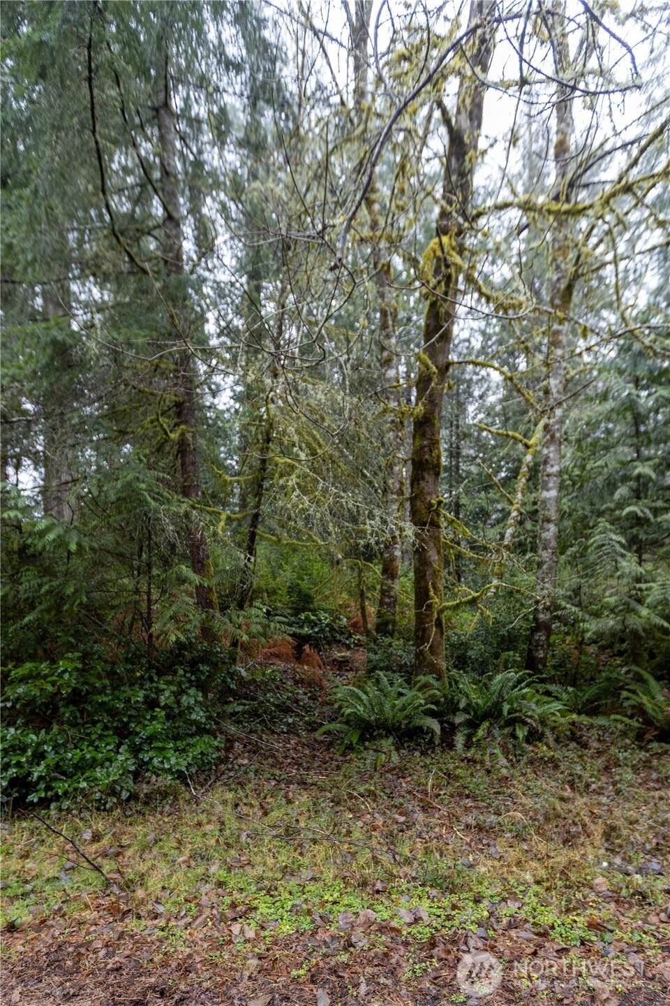 11416 86th Street Ct - Photo 1
