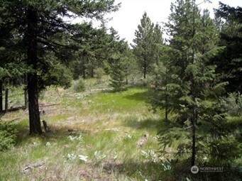 0 Mule Deer Road - Photo 1