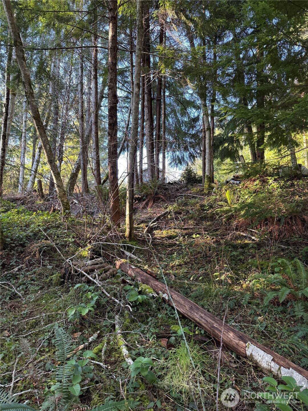 0 Lake Christine Road - Photo 1