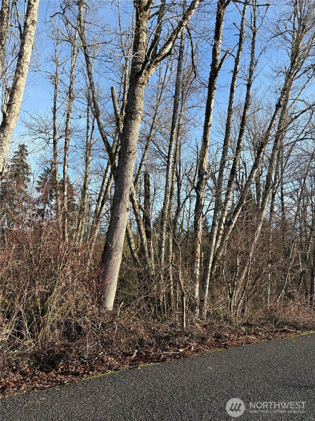 https://bt-photos.global.ssl.fastly.net/nwmls/orig_boomver_1_2477565-1.jpg