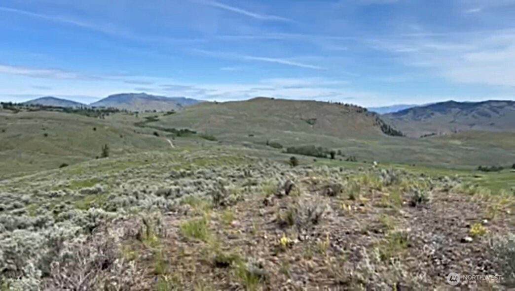 2 Tbd Ellemeham Mountain Road - Photo 1