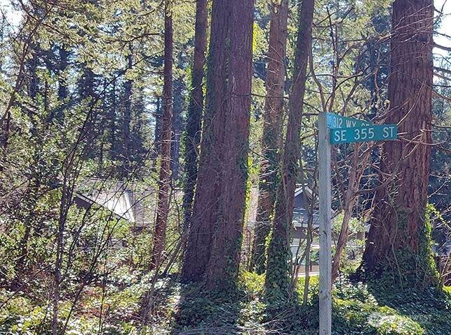 355 xx 312th St Way - Photo 1