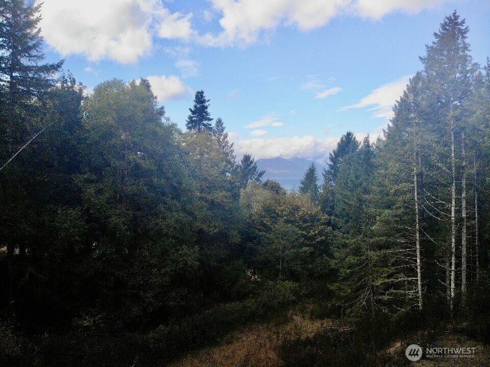 7625 Mountain Vista Lane - Photo 1