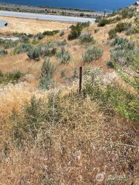 37 Osprey Nest Road - Photo 1