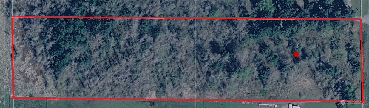 32504 Mountain Highway - Photo 1