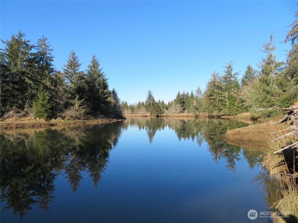 1478 XXX Hoquiam Road - Photo 1