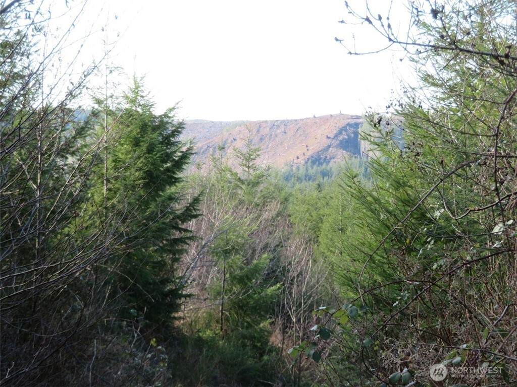 https://bt-photos.global.ssl.fastly.net/nwmls/orig_boomver_1_2480903-1.jpg