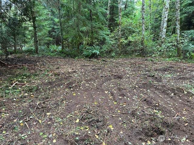 7988 Bethel Burley Road - Photo 1