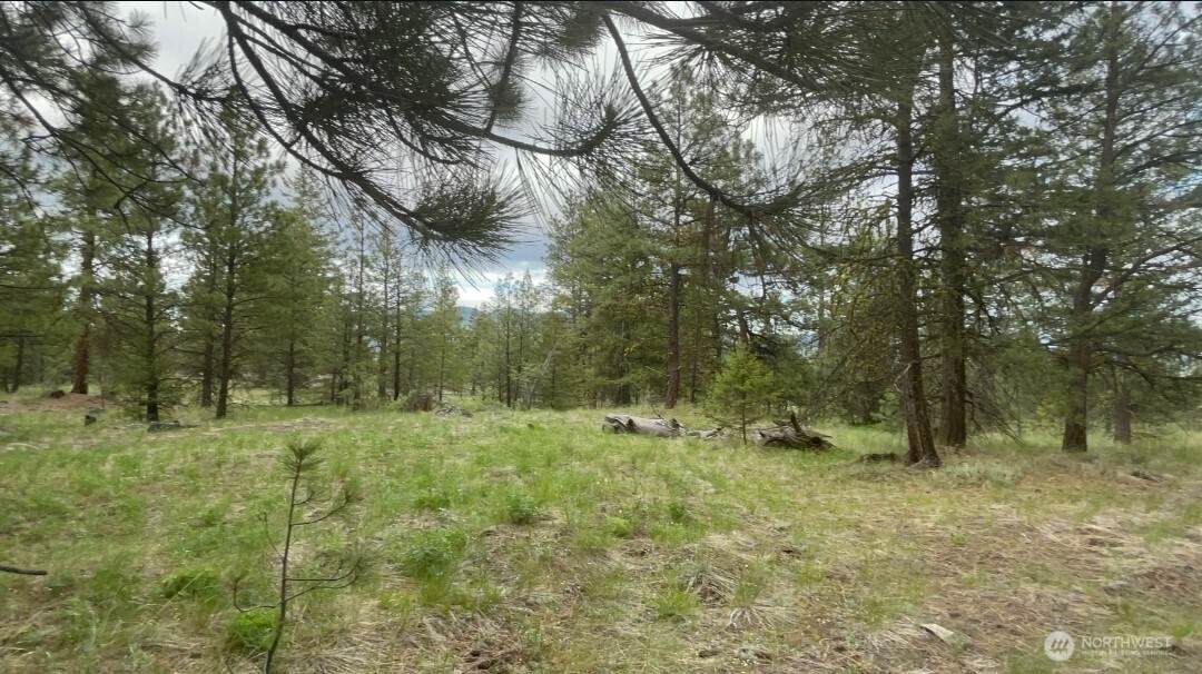 0 Fs 3010 Road - Photo 1