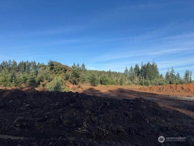 380 Hawkins Road - Photo 1