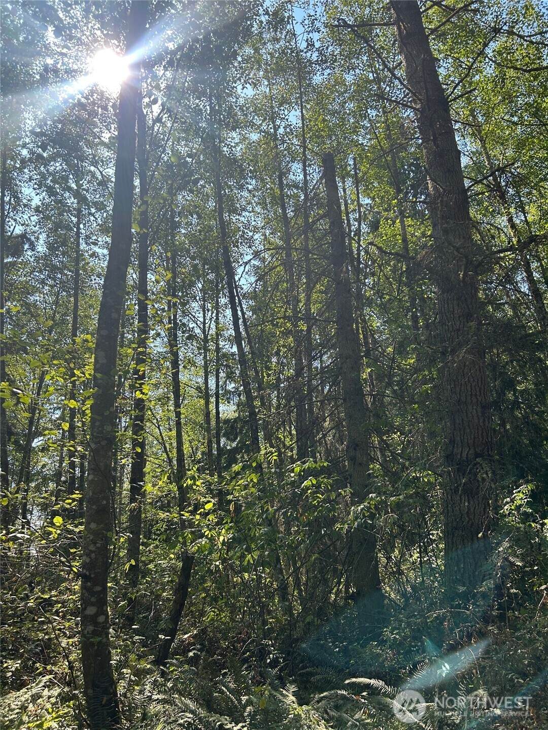 0 xxx Forest View Lane - Photo 1