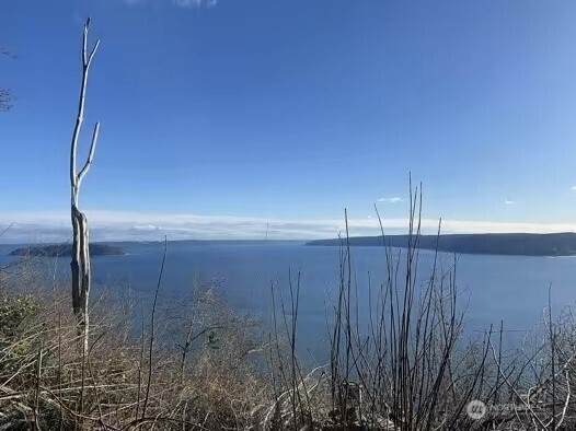 0 Lot 12 Camano Drive - Photo 1