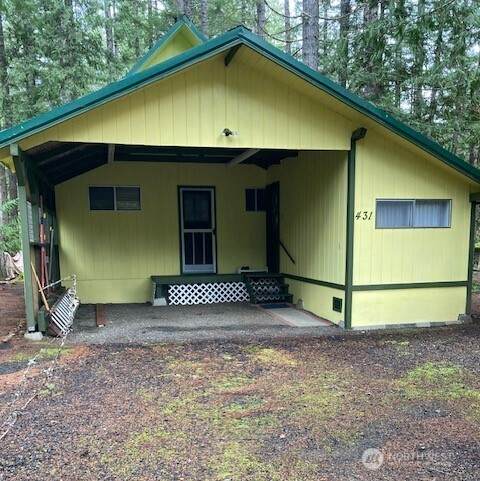 431 Mt Seattle Way - Photo 1
