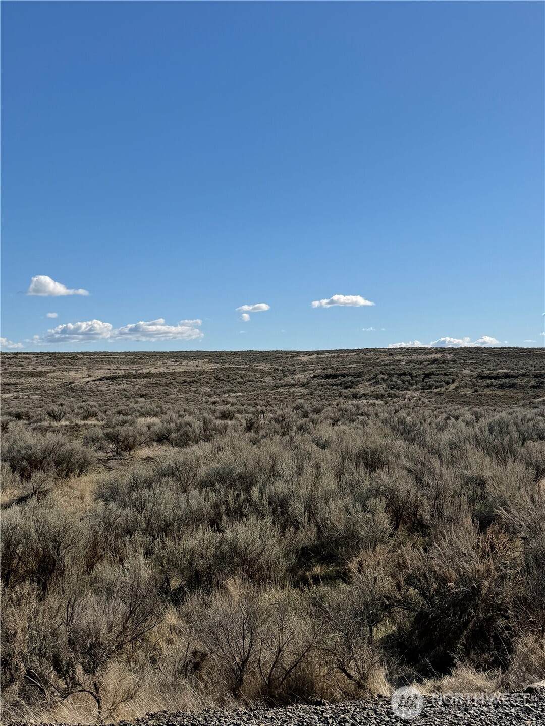 0 Lot 225 Eagle Springs Ranch - Photo 1