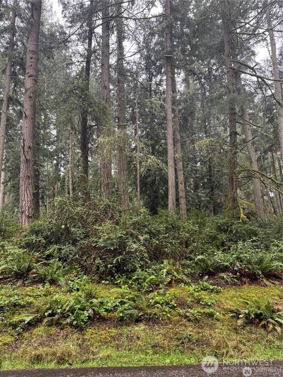 12708 Lovass Road - Photo 1