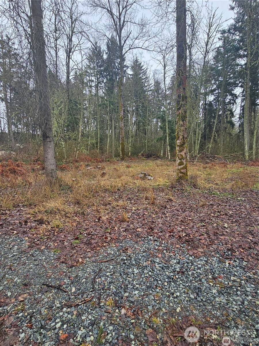 25905 96th Avenue - Photo 1