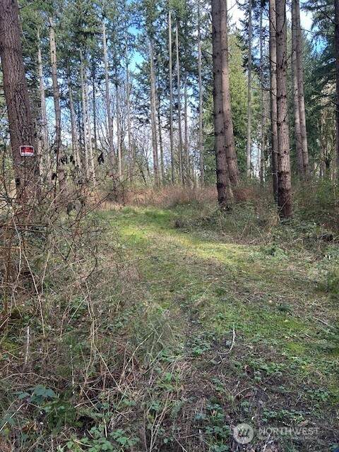 0 XXX Hellman Road - Photo 1