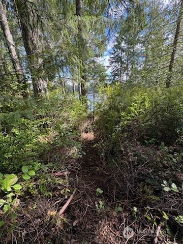 1961 Trails End Drive - Photo 1