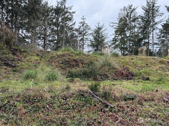 577 Sunset Avenue - Photo 1