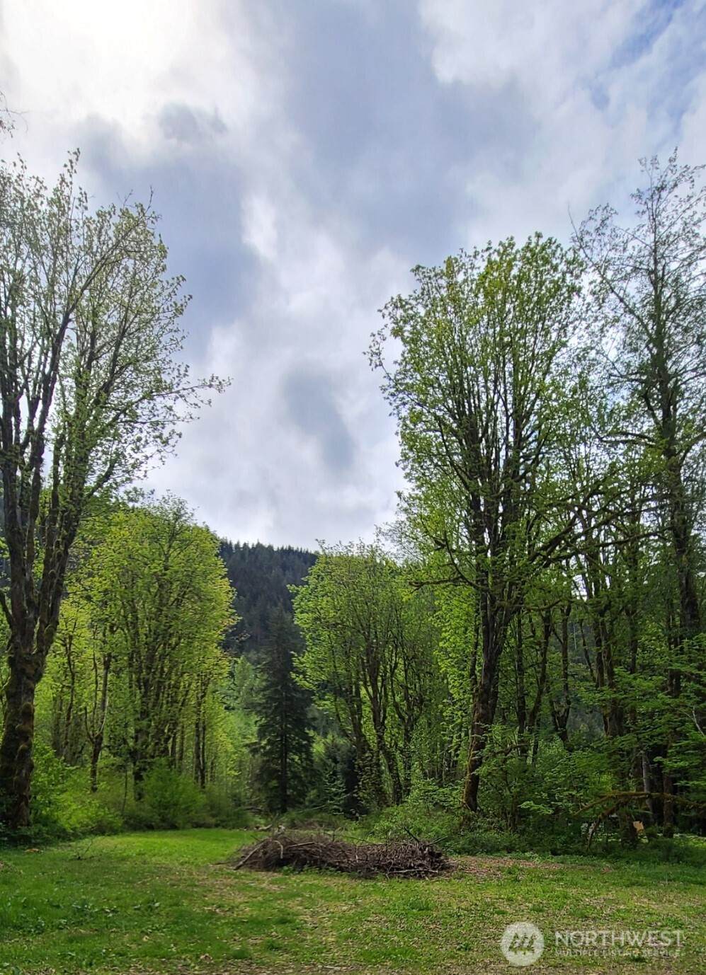 https://bt-photos.global.ssl.fastly.net/nwmls/orig_boomver_1_2491881-1.jpg