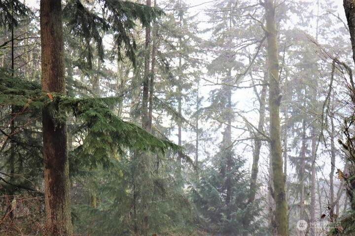 https://bt-photos.global.ssl.fastly.net/nwmls/orig_boomver_1_2492180-1.jpg