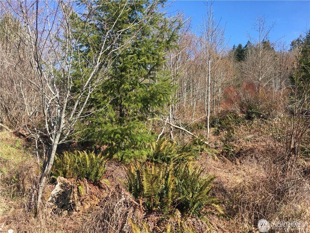 0 Summit Lake Road - Photo 1