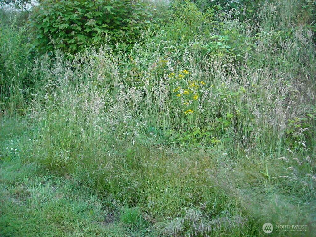 613 56th Street - Photo 1